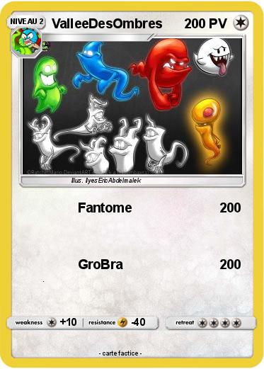 Pokemon ValleeDesOmbres
