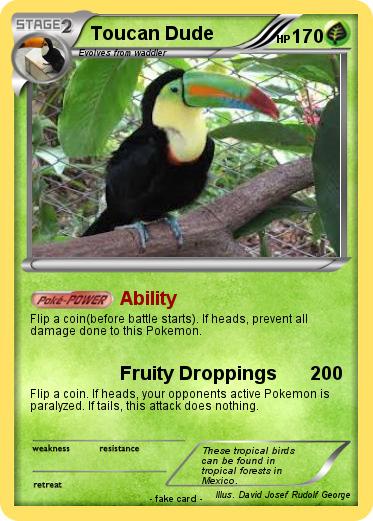Pokemon Toucan Dude