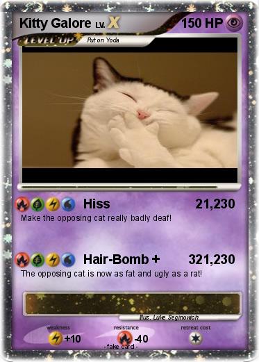 Pokemon Kitty Galore