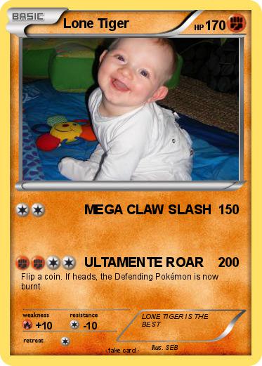 Pokemon Lone Tiger