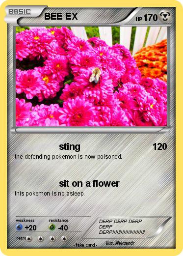 Pokemon BEE EX