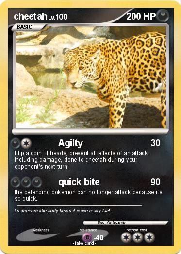Pokemon cheetah