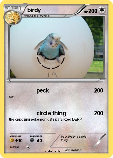 Pokemon birdy