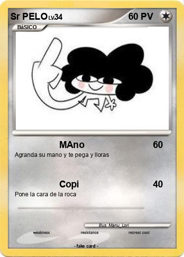 Pokemon Sr PELO
