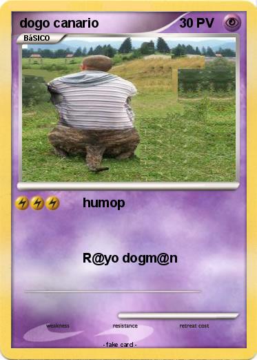 Pokemon dogo canario