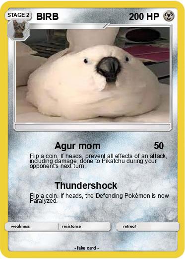 Pokemon BIRB