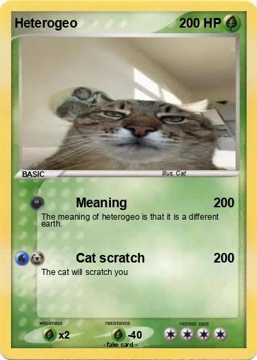 Pokemon Heterogeo