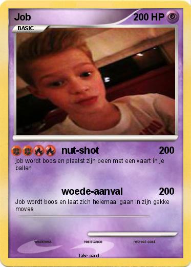 Pokemon Job
