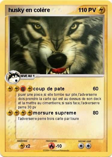 Pokemon husky en colère