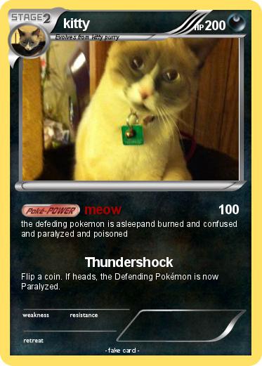 Pokemon kitty