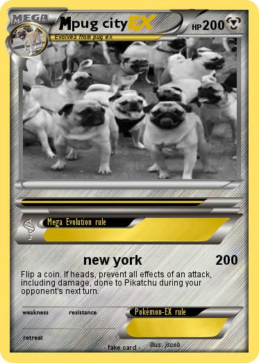 Pokemon pug city