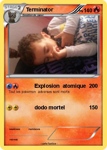 Pokemon Terminator