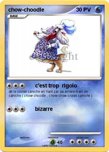 Pokemon chow-choodle