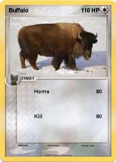 Pokemon Buffalo