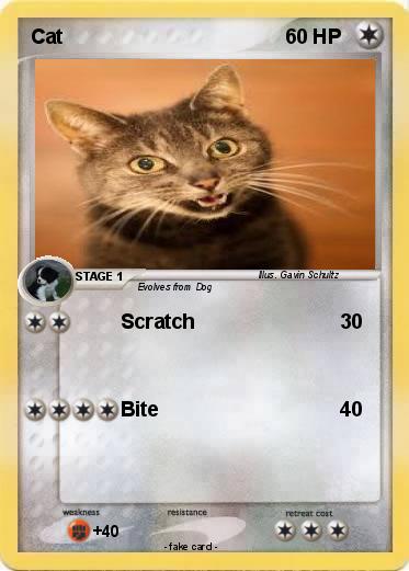 Pokemon Cat