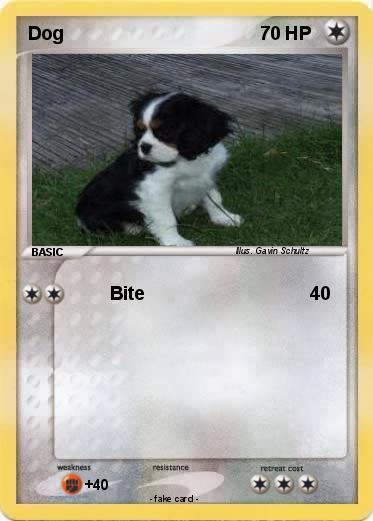 Pokemon Dog