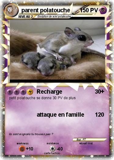 Pokemon parent polatouche