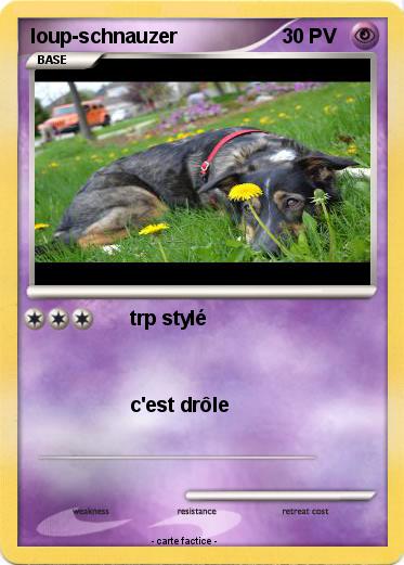Pokemon loup-schnauzer