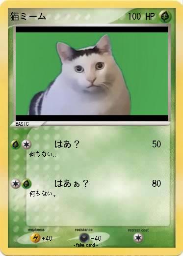 Pokemon 猫ミーム