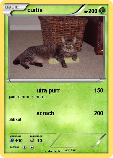 Pokemon curtis