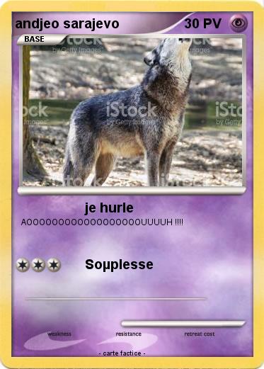 Pokemon andjeo sarajevo