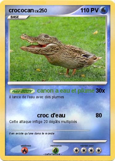 Pokemon crococan