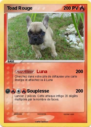 Pokemon Toad Rouge