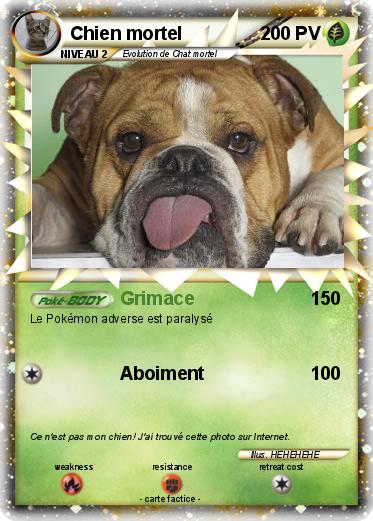 Pokemon Chien mortel