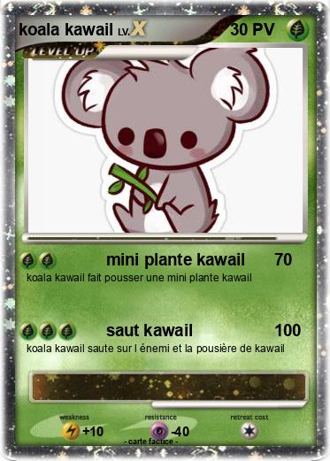 Pokemon koala kawail
