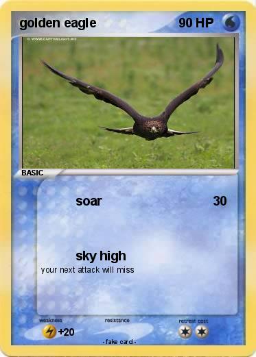 Pokemon golden eagle