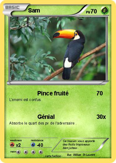 Pokemon Sam