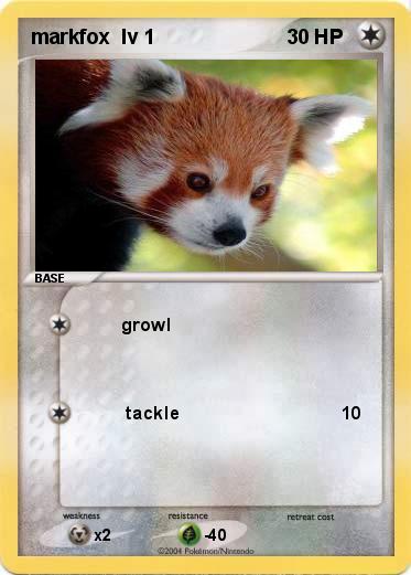 Pokemon markfox  lv 1