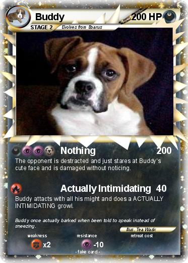 Pokemon Buddy