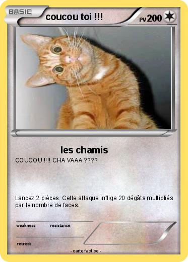 Pokemon coucou toi !!!