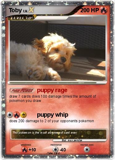 Pokemon Toby