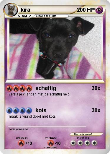 Pokemon kira