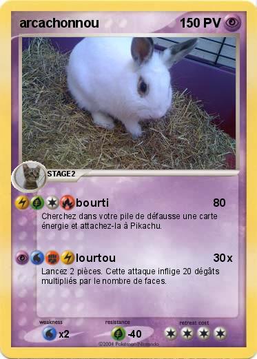 Pokemon arcachonnou
