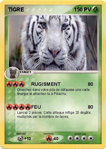 Pokemon TIGRE