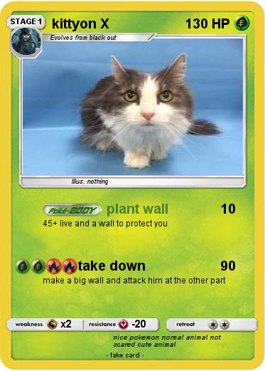 Pokemon kittyon X