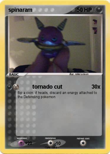 Pokemon spinaram