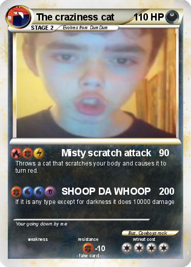 Pokemon The craziness cat