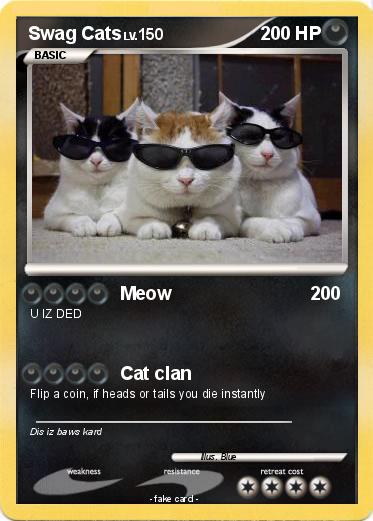 Pokemon Swag Cats