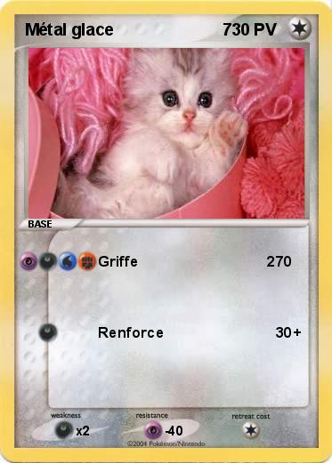 Pokemon Métal glace                        7