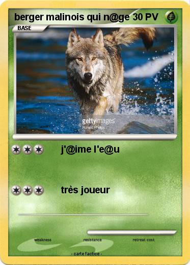 Pokemon berger malinois qui n@ge