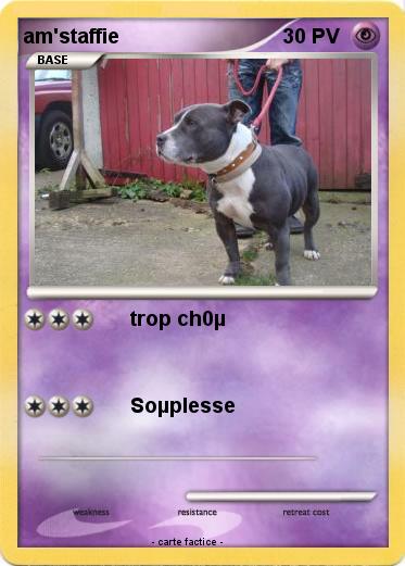 Pokemon am'staffie