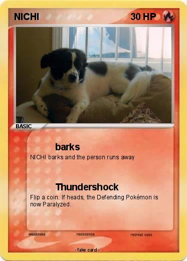 Pokemon NICHI