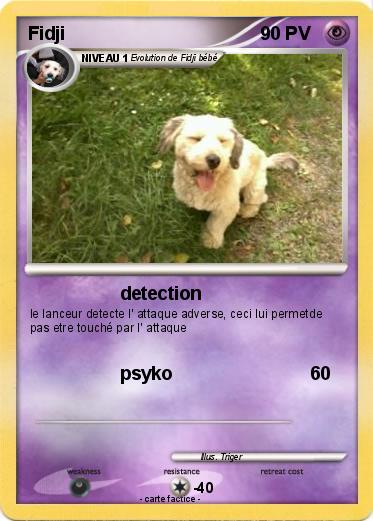 Pokemon Fidji