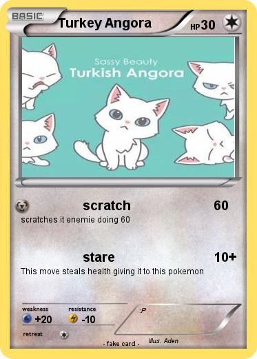 Pokemon Turkey Angora