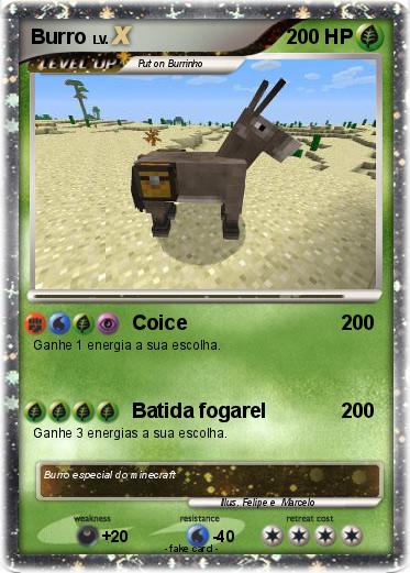 Pokemon Burro