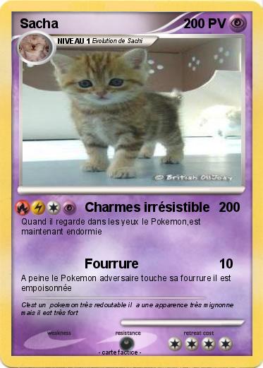 Pokemon Sacha
